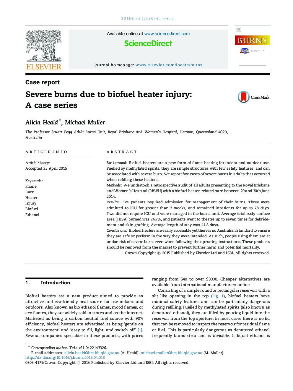 Severe burns due to biofuel heater injury: A case series