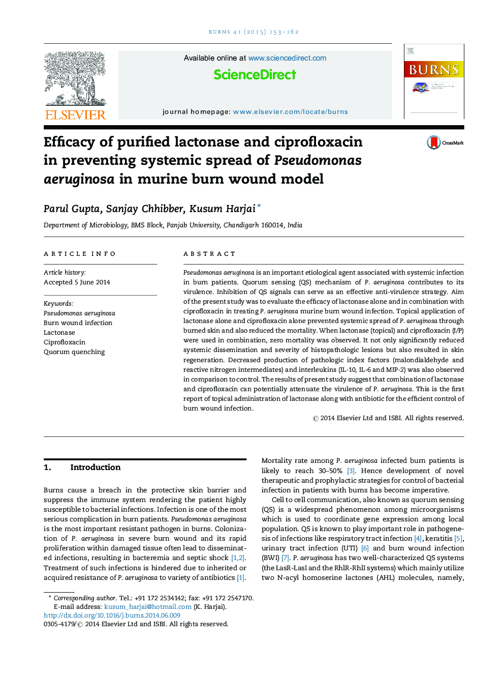 Efficacy of purified lactonase and ciprofloxacin in preventing systemic spread of Pseudomonas aeruginosa in murine burn wound model