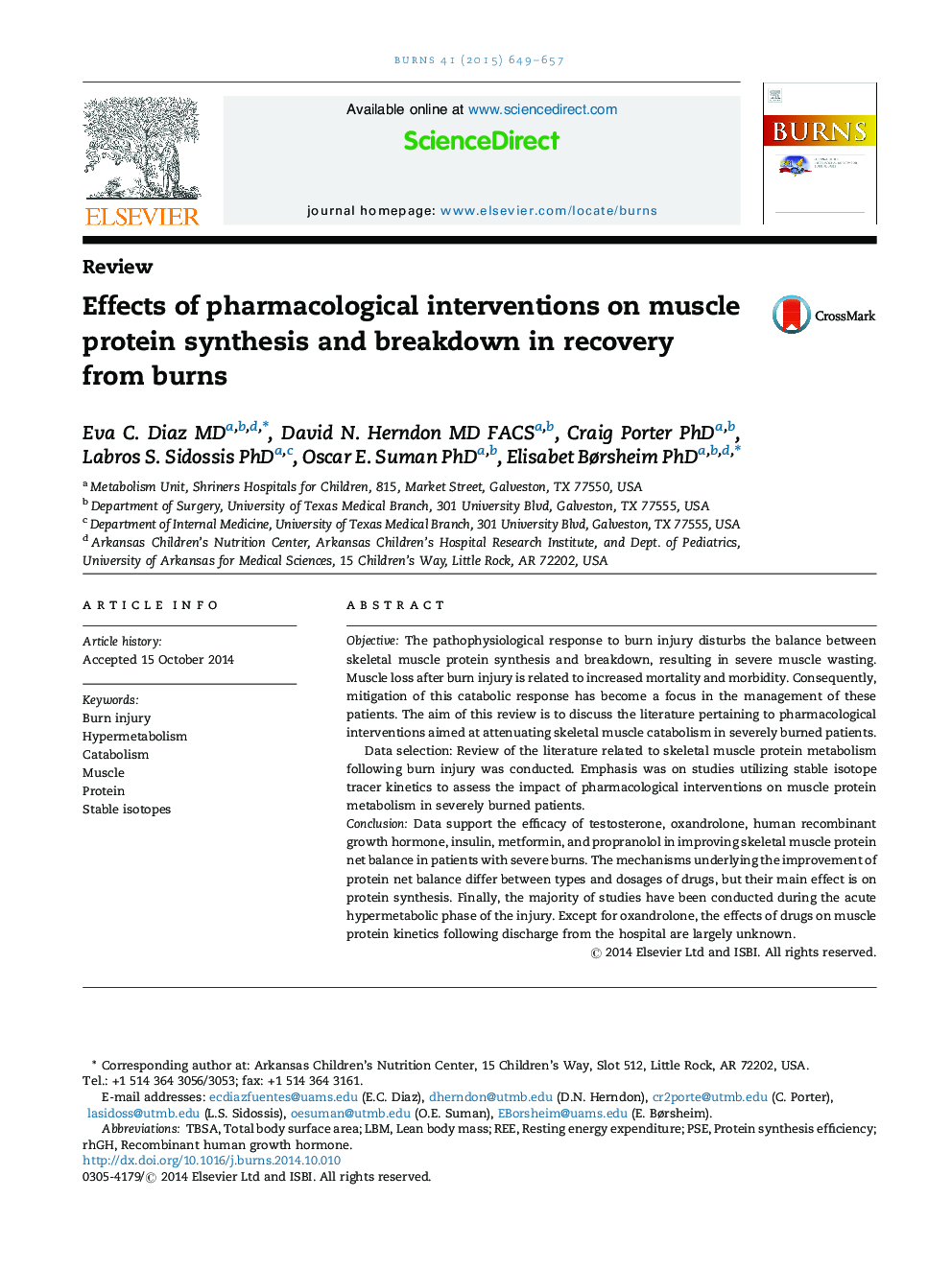 Effects of pharmacological interventions on muscle protein synthesis and breakdown in recovery from burns