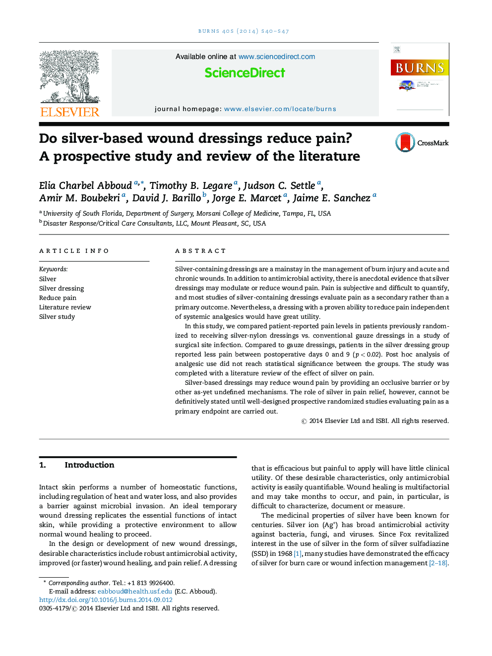 Do silver-based wound dressings reduce pain? A prospective study and review of the literature