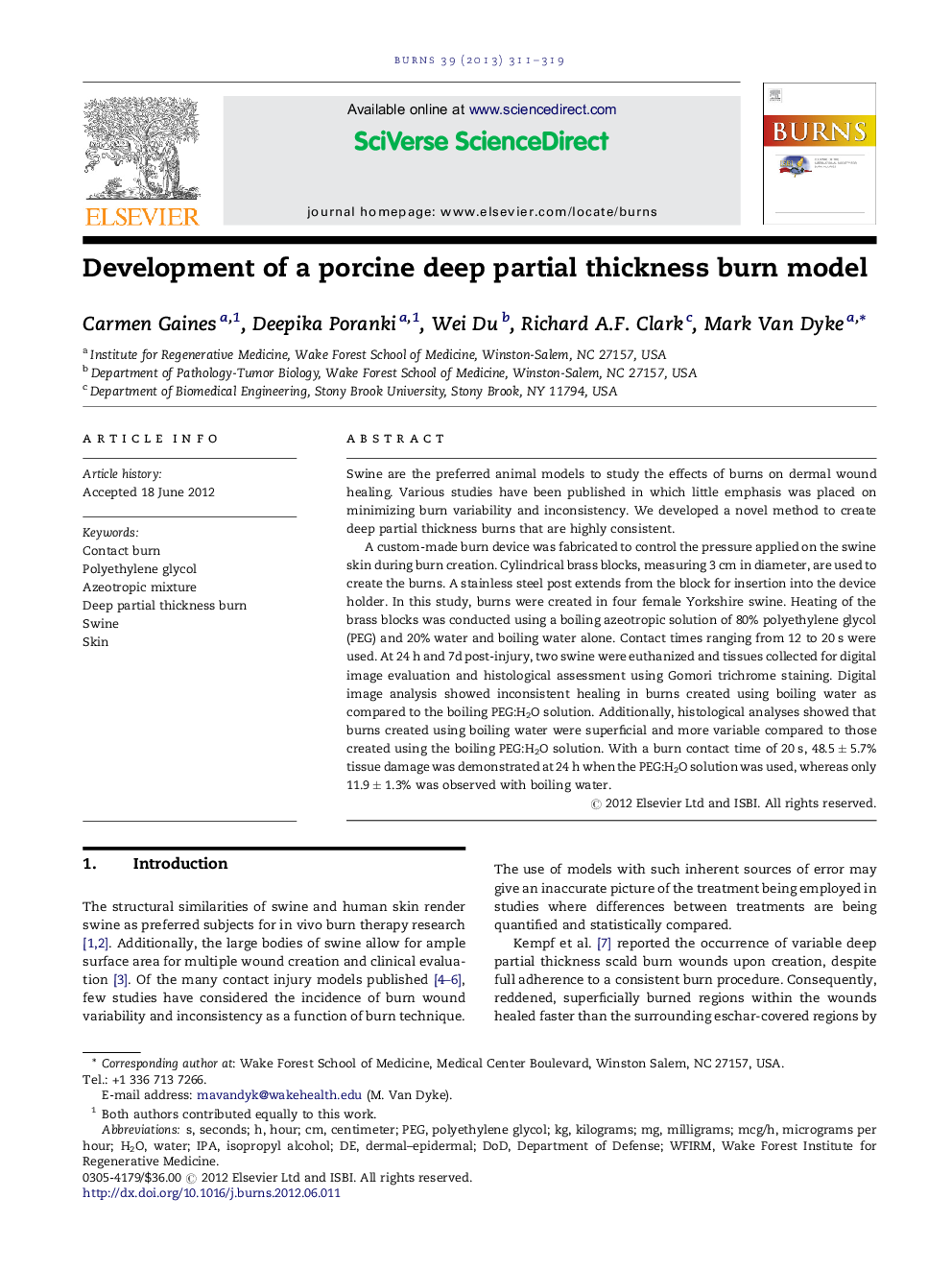 Development of a porcine deep partial thickness burn model