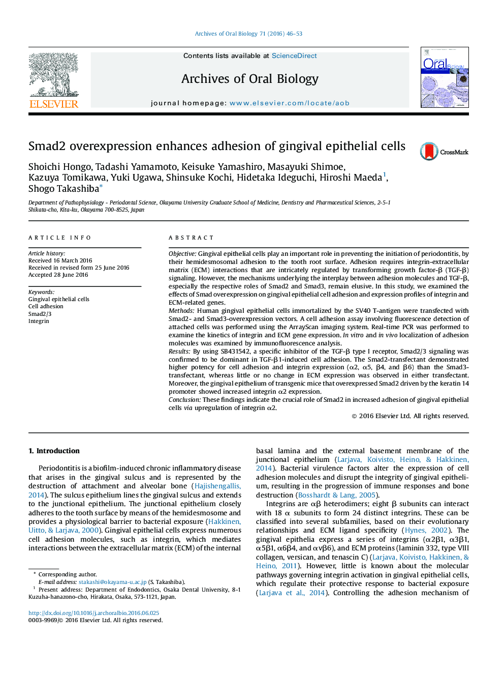 Smad2 overexpression enhances adhesion of gingival epithelial cells