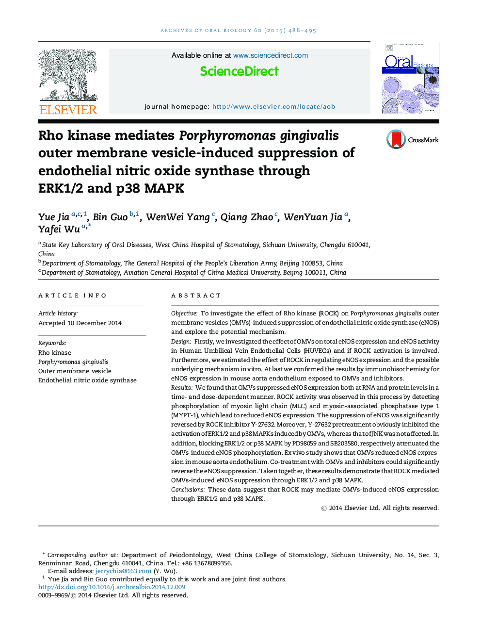 Rho kinase mediates Porphyromonas gingivalis outer membrane vesicle-induced suppression of endothelial nitric oxide synthase through ERK1/2 and p38 MAPK