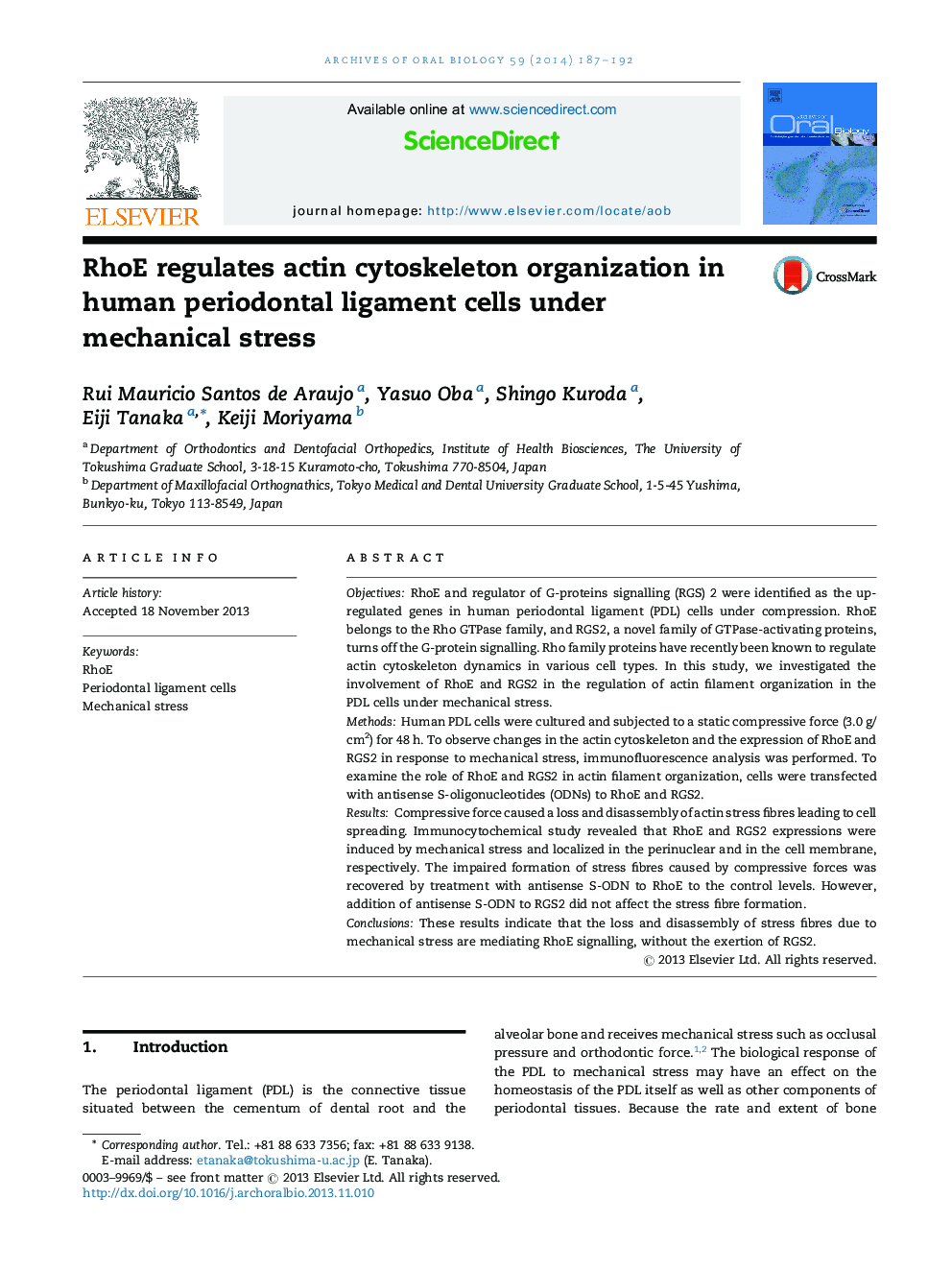 RhoE regulates actin cytoskeleton organization in human periodontal ligament cells under mechanical stress