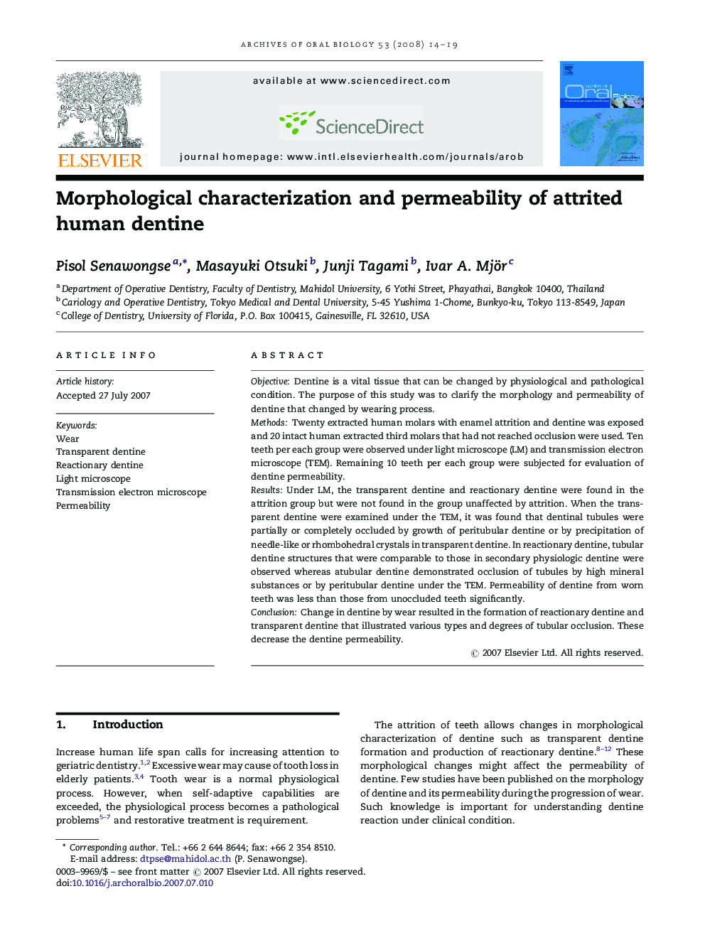 Morphological characterization and permeability of attrited human dentine