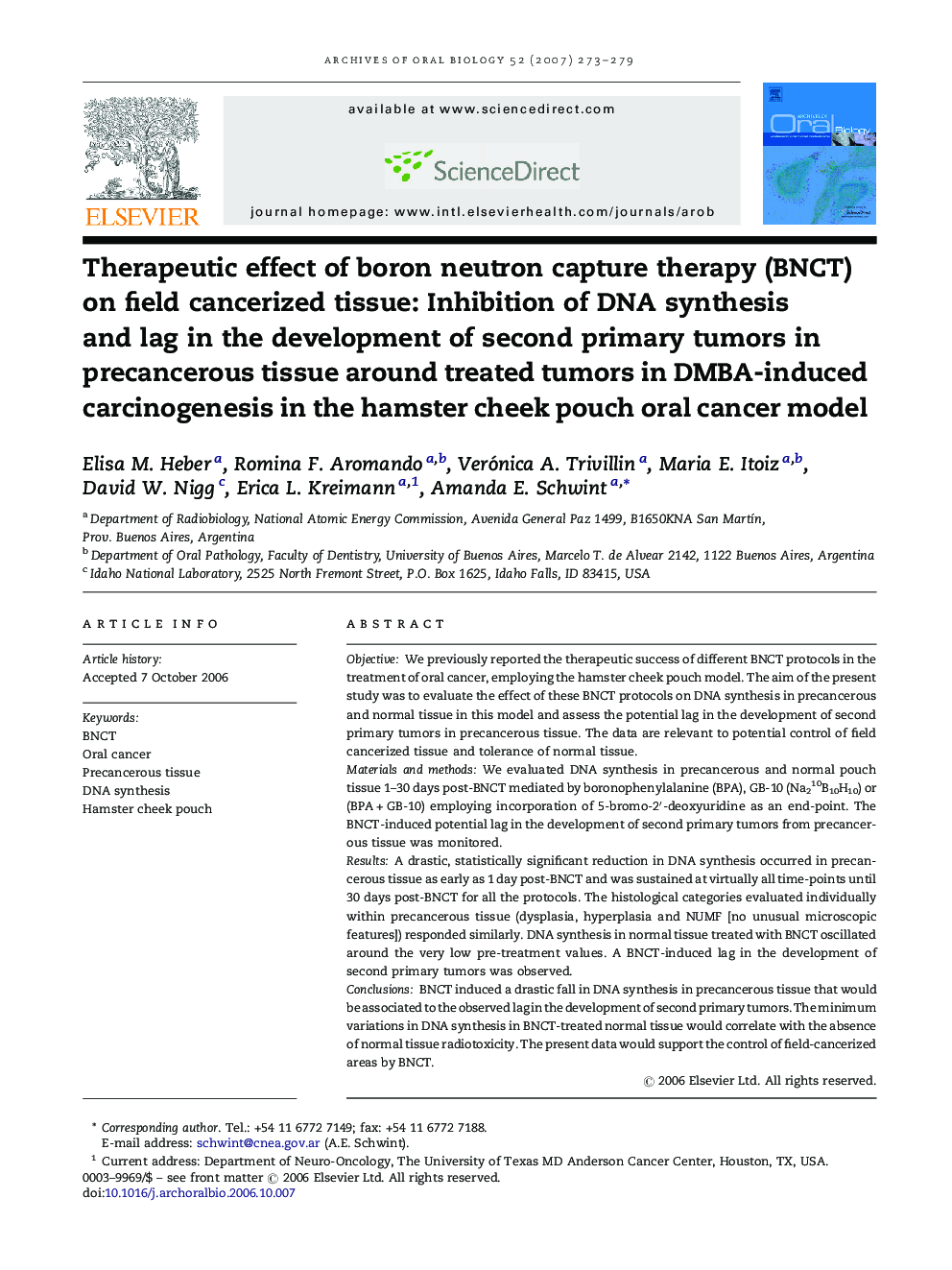 Therapeutic effect of boron neutron capture therapy (BNCT) on field cancerized tissue: Inhibition of DNA synthesis and lag in the development of second primary tumors in precancerous tissue around treated tumors in DMBA-induced carcinogenesis in the hamst