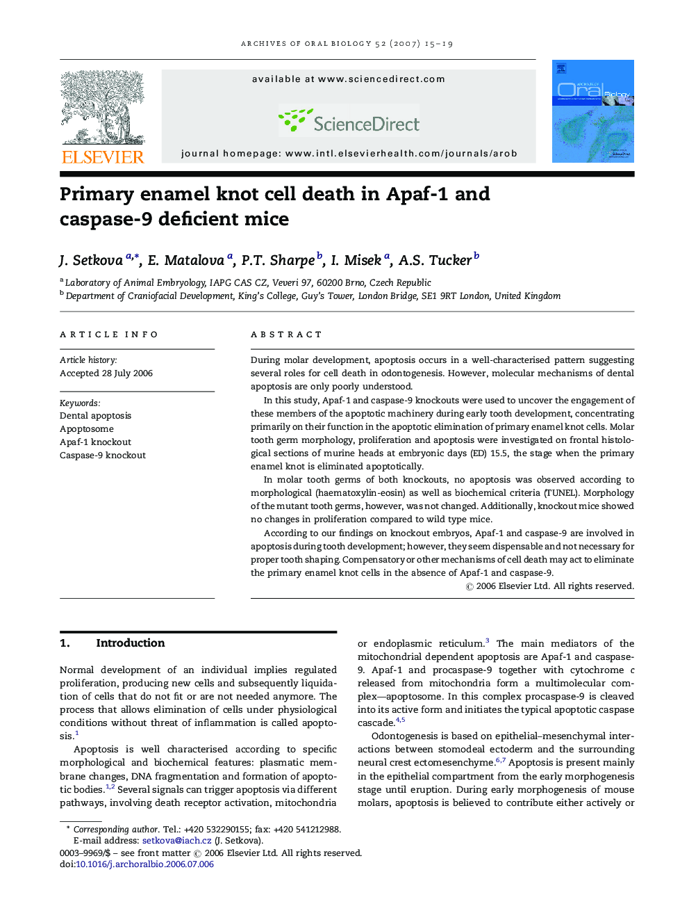 Primary enamel knot cell death in Apaf-1 and caspase-9 deficient mice