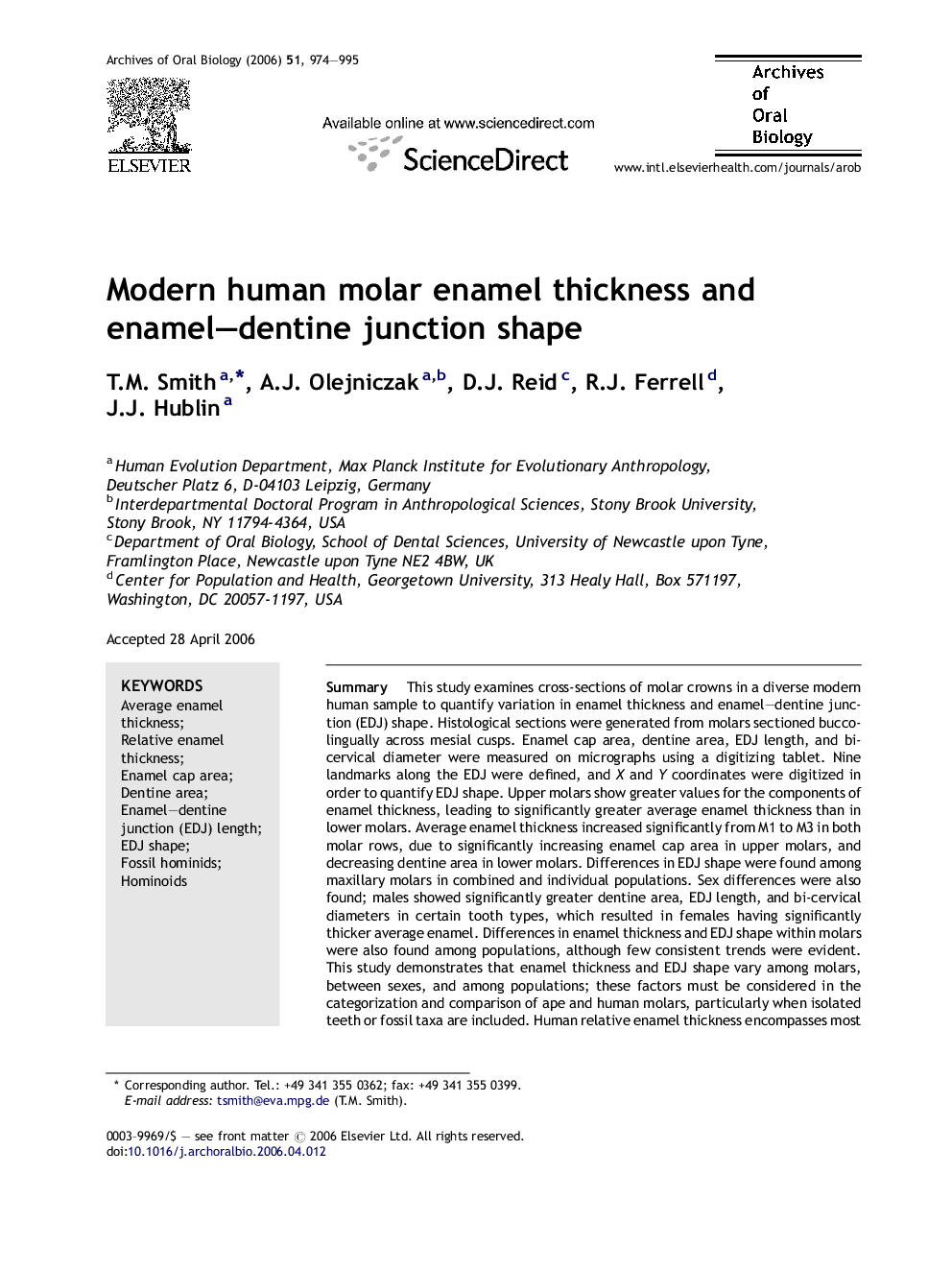 Modern human molar enamel thickness and enamel–dentine junction shape