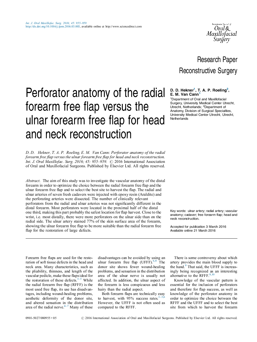 آناتومی پرفوراتور فلاپ آزاد فک شعاعی در برابر فلپ سفتی ناحیه گردن اولنار برای بازسازی سر و گردن 
