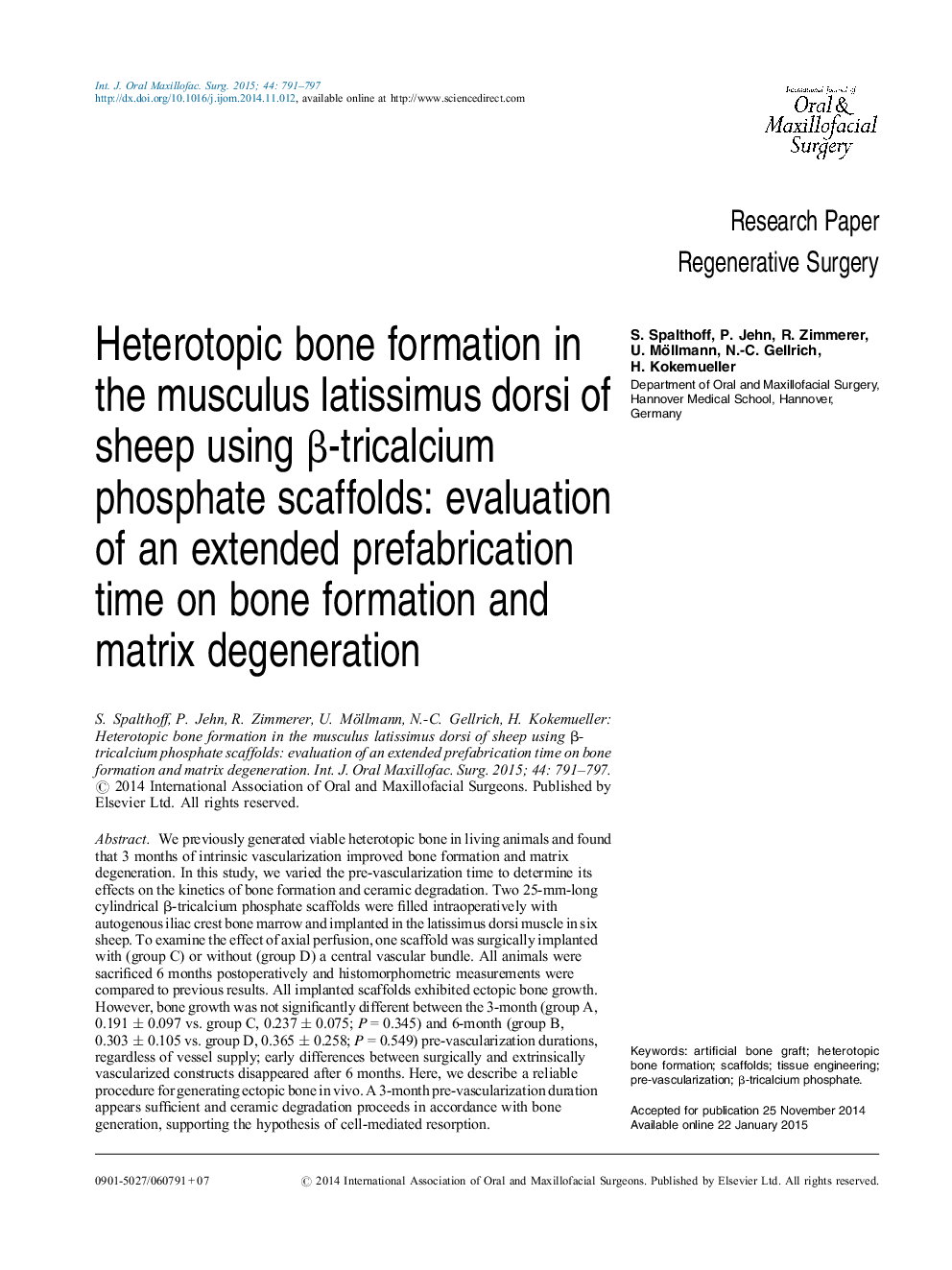 Heterotopic bone formation in the musculus latissimus dorsi of sheep using β-tricalcium phosphate scaffolds: evaluation of an extended prefabrication time on bone formation and matrix degeneration