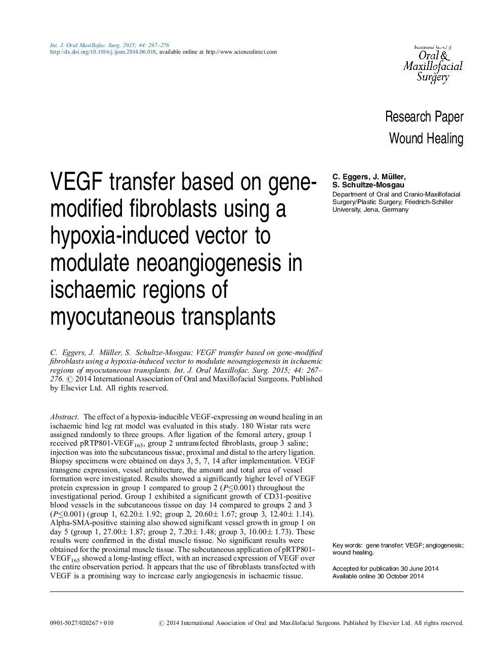 VEGF transfer based on gene-modified fibroblasts using a hypoxia-induced vector to modulate neoangiogenesis in ischaemic regions of myocutaneous transplants