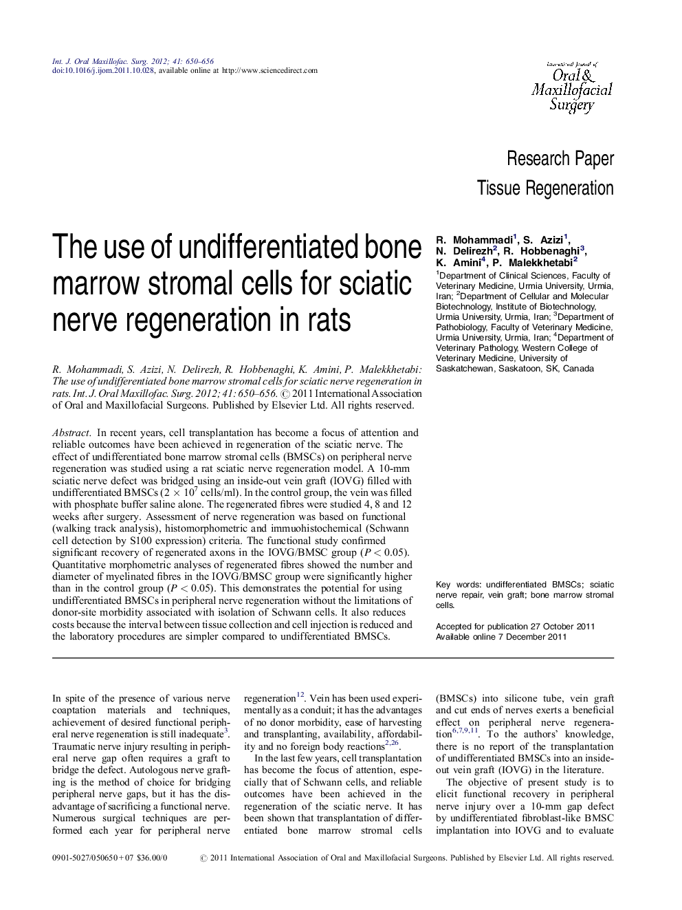 The use of undifferentiated bone marrow stromal cells for sciatic nerve regeneration in rats