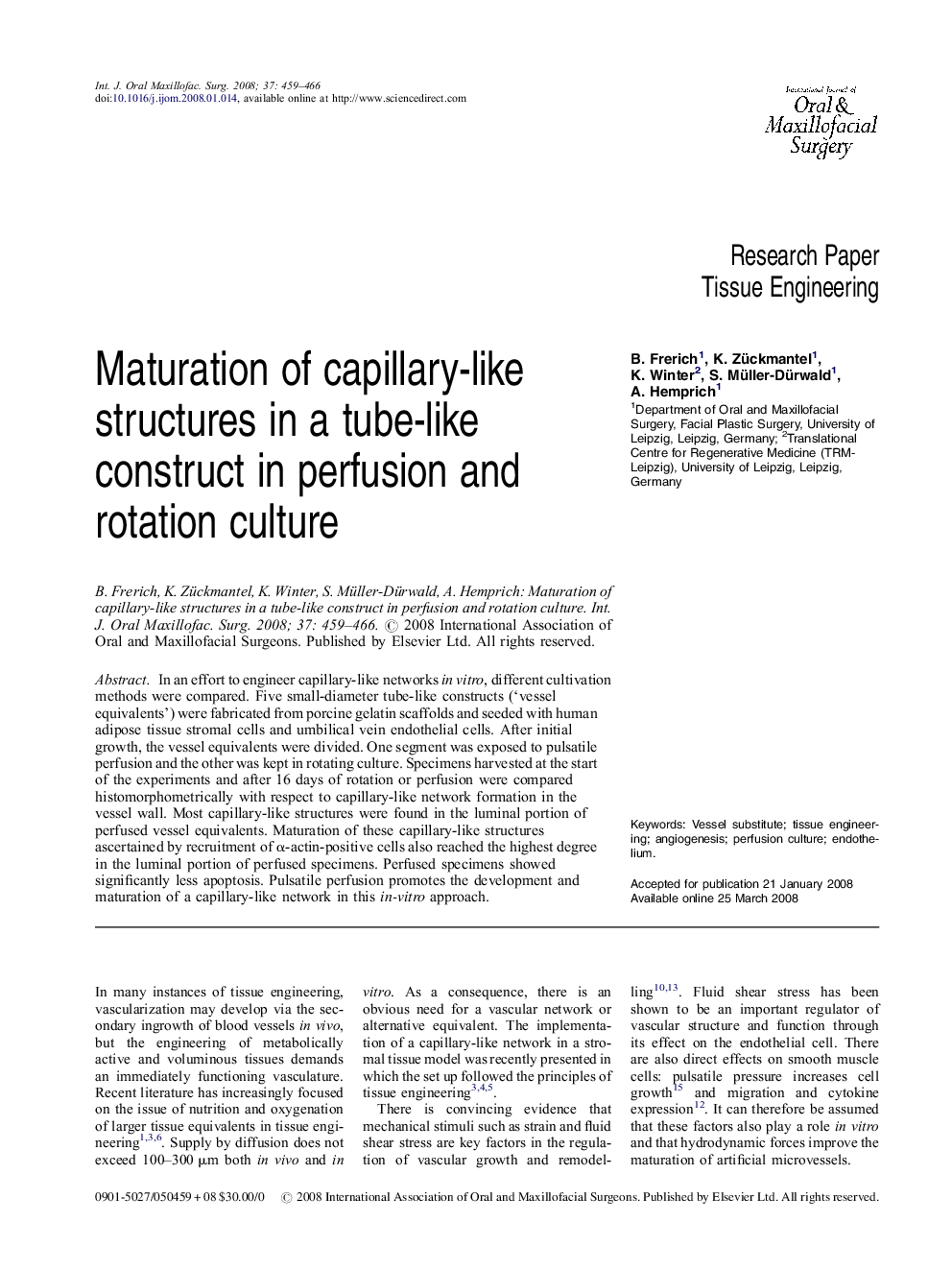 Maturation of capillary-like structures in a tube-like construct in perfusion and rotation culture