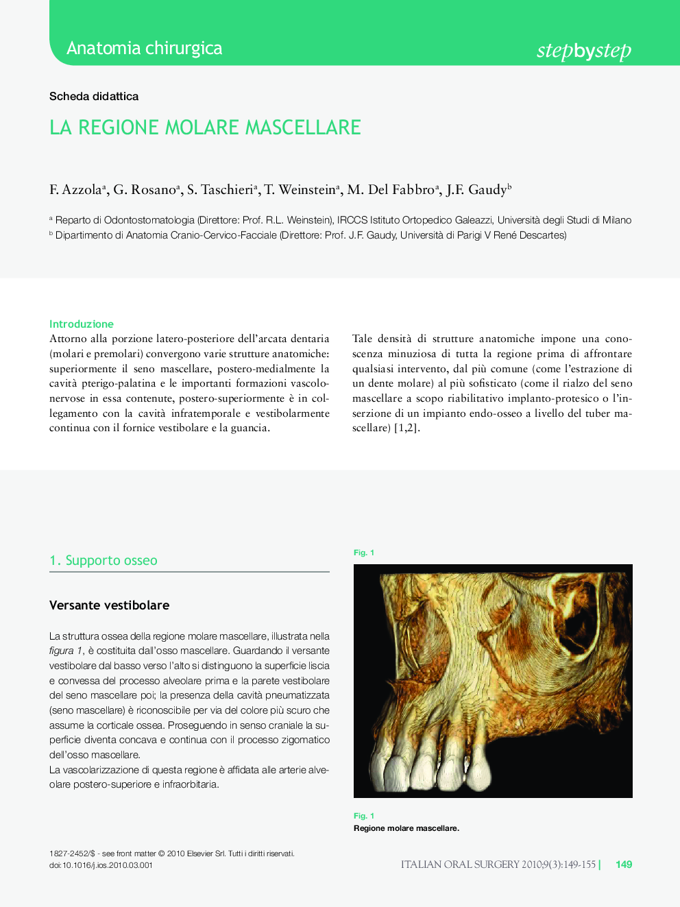 عکس صفحه اول مقاله: La Regione Molare Mascellare La Regione Molare Mascellare