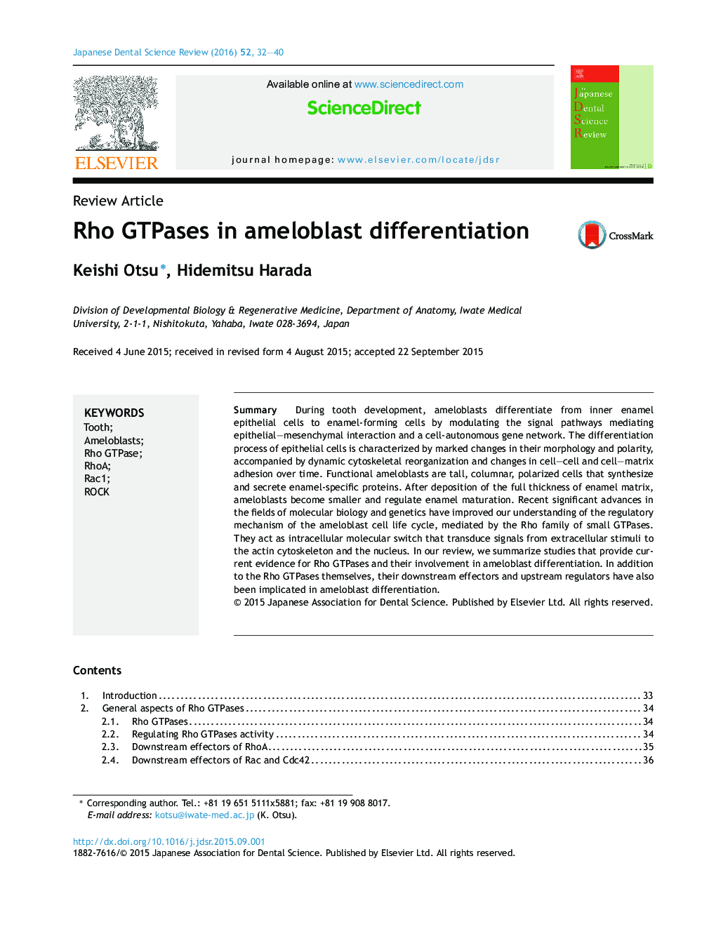 Rho GTPases in ameloblast differentiation