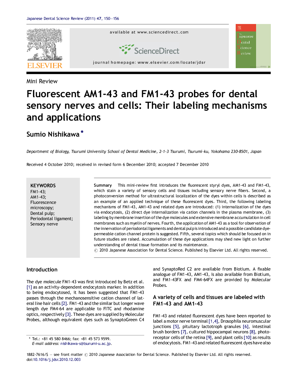 Fluorescent AM1-43 and FM1-43 probes for dental sensory nerves and cells: Their labeling mechanisms and applications