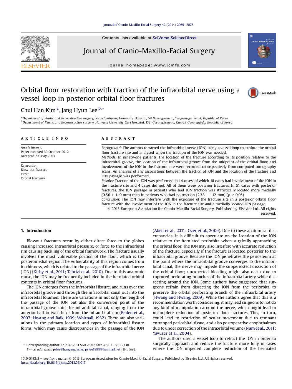 Orbital floor restoration with traction of the infraorbital nerve using a vessel loop in posterior orbital floor fractures