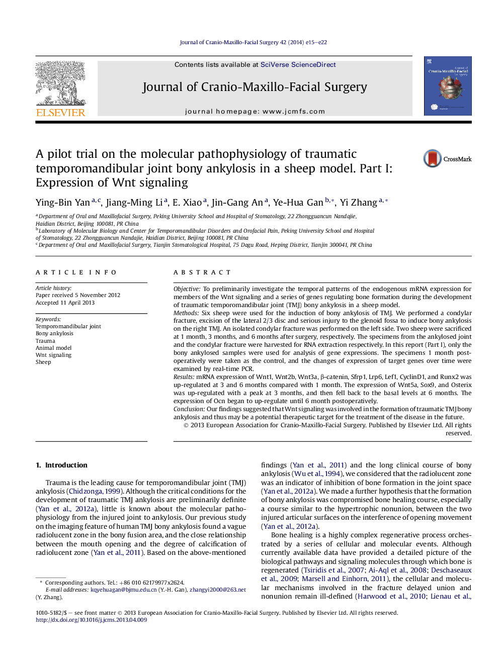 A pilot trial on the molecular pathophysiology of traumatic temporomandibular joint bony ankylosis in a sheep model. Part I: Expression of Wnt signaling