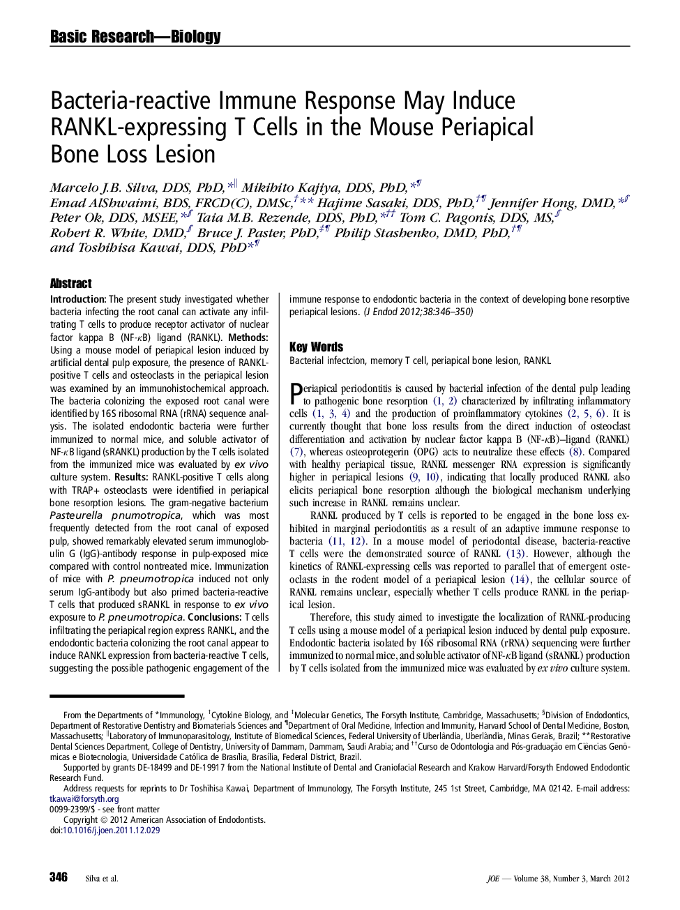 Bacteria-reactive Immune Response May Induce RANKL-expressing T Cells in the Mouse Periapical Bone Loss Lesion 