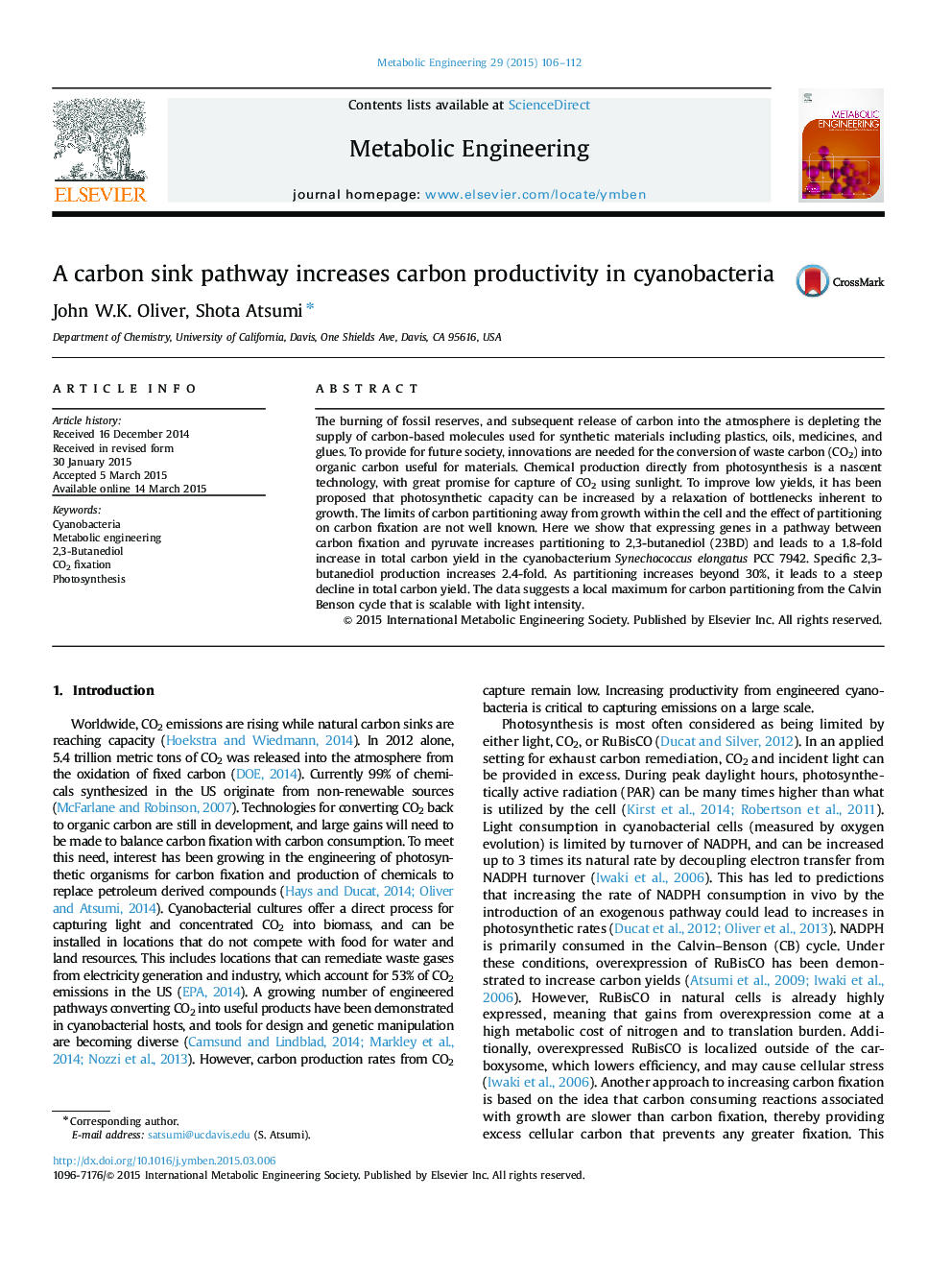 A carbon sink pathway increases carbon productivity in cyanobacteria