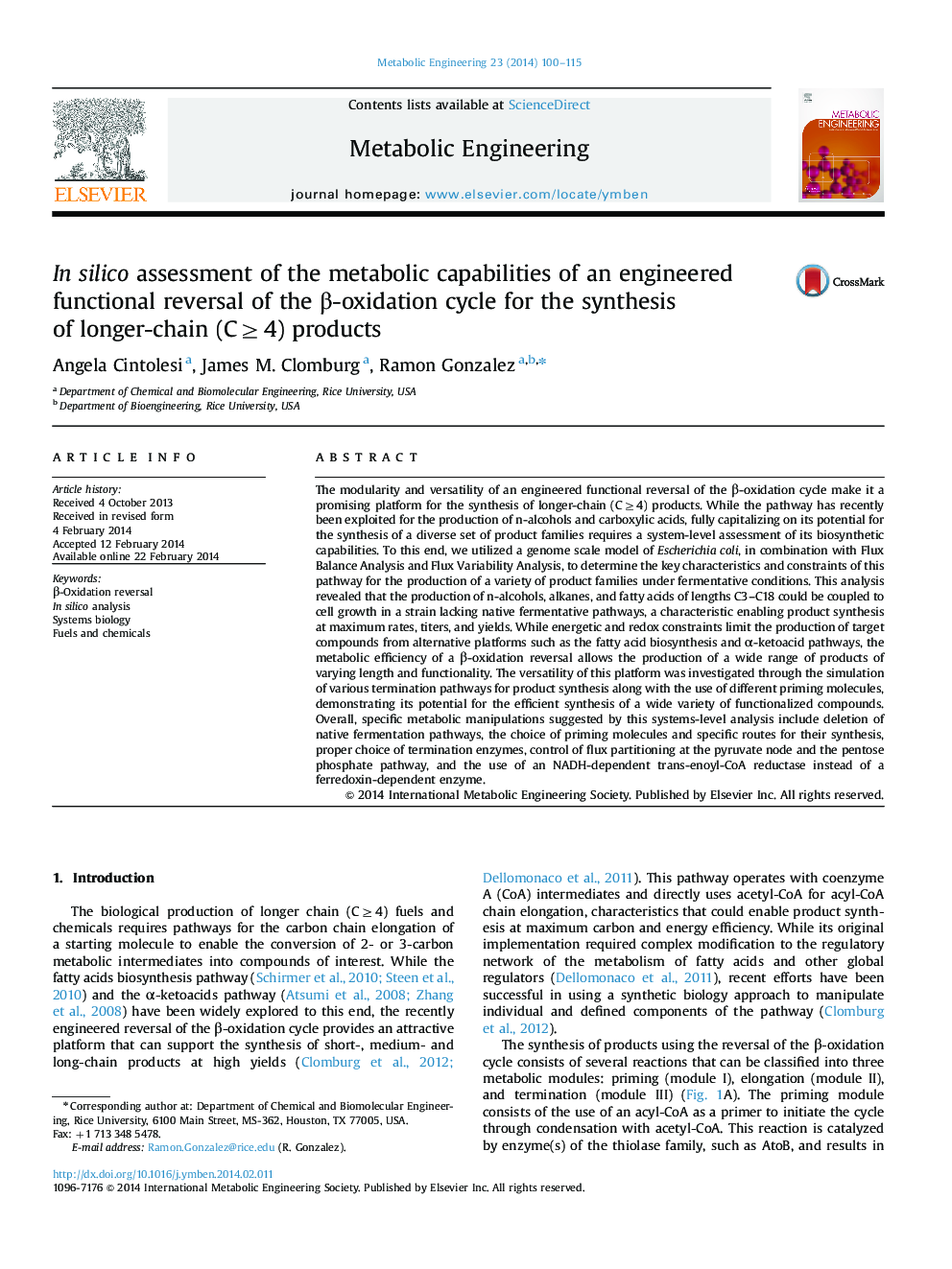 In silico assessment of the metabolic capabilities of an engineered functional reversal of the β-oxidation cycle for the synthesis of longer-chain (C≥4) products