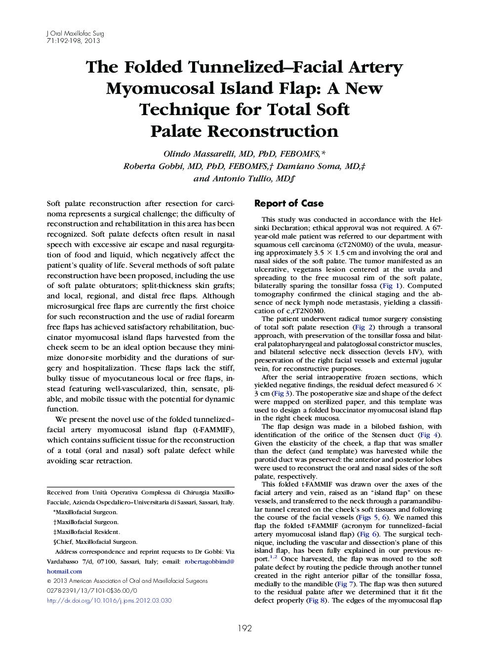 The Folded Tunnelized-Facial Artery Myomucosal Island Flap: A New Technique for Total Soft Palate Reconstruction