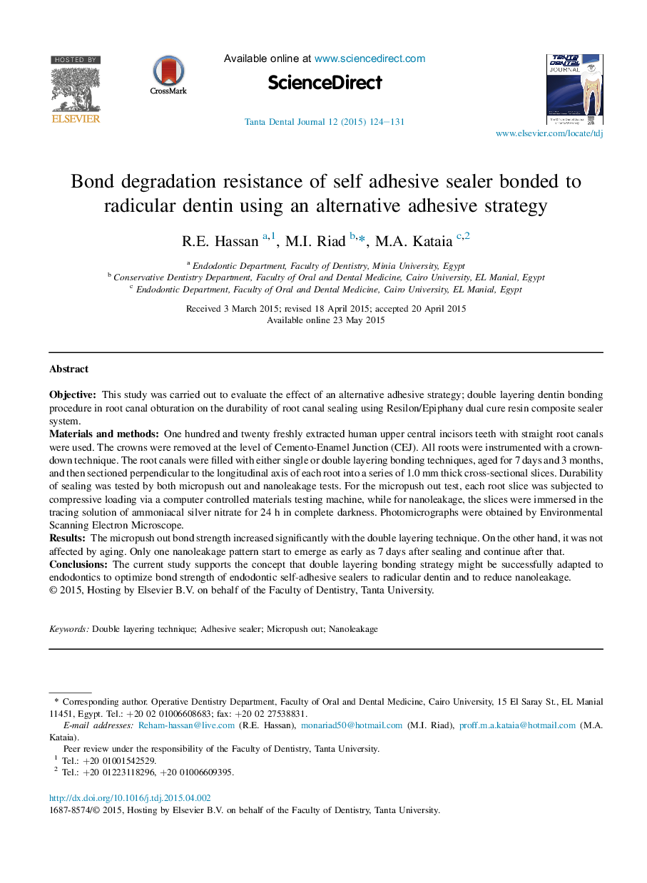 Bond degradation resistance of self adhesive sealer bonded to radicular dentin using an alternative adhesive strategy 