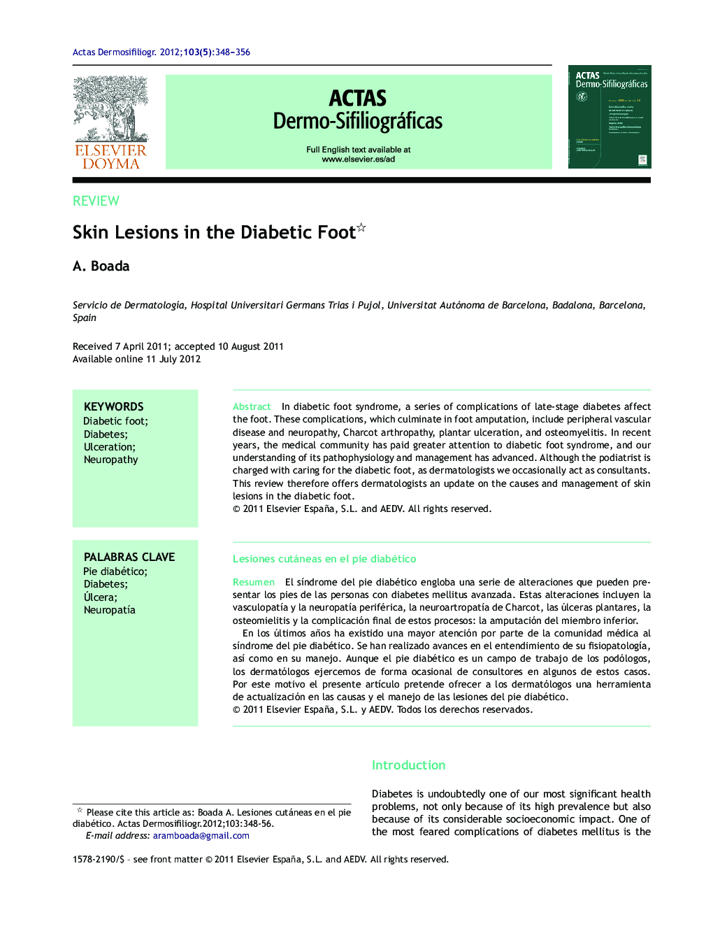 Skin Lesions in the Diabetic Foot 