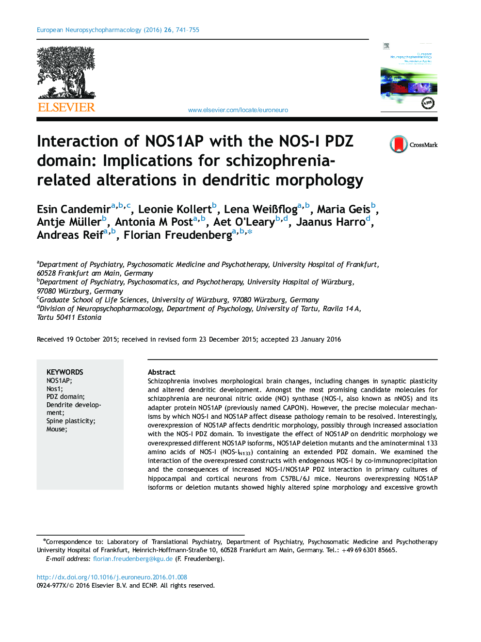 Interaction of NOS1AP with the NOS-I PDZ domain: Implications for schizophrenia-related alterations in dendritic morphology