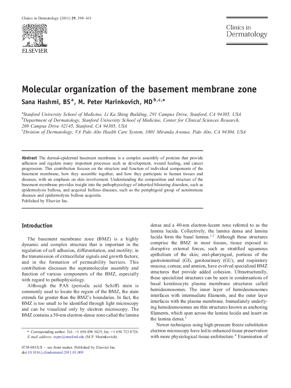 Molecular organization of the basement membrane zone