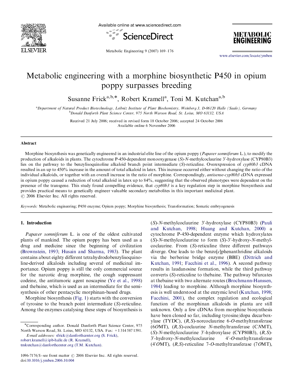 Metabolic engineering with a morphine biosynthetic P450 in opium poppy surpasses breeding