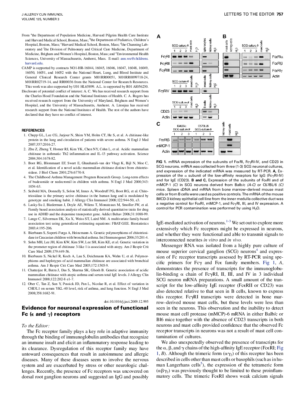 Evidence for neuronal expression of functional Fc (Îµ and Î³) receptors