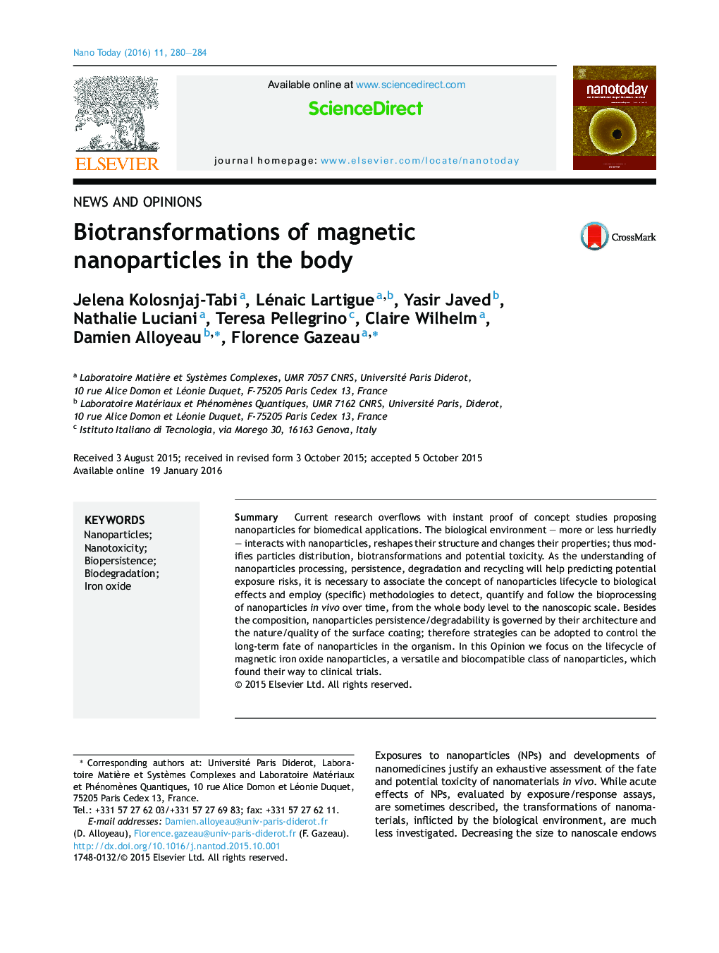 Biotransformations of magnetic nanoparticles in the body