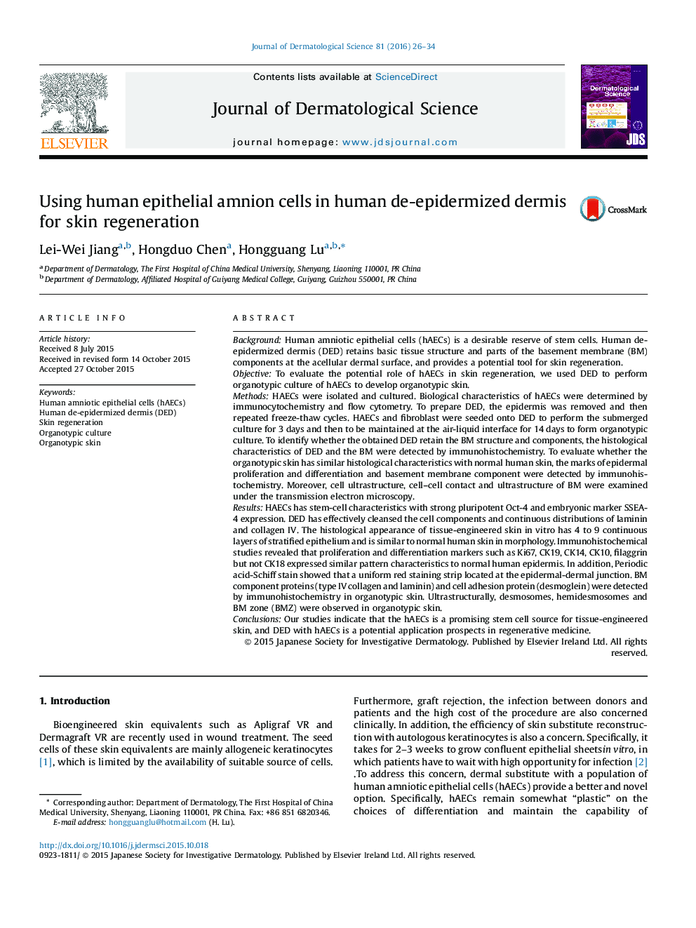 Using human epithelial amnion cells in human de-epidermized dermis for skin regeneration