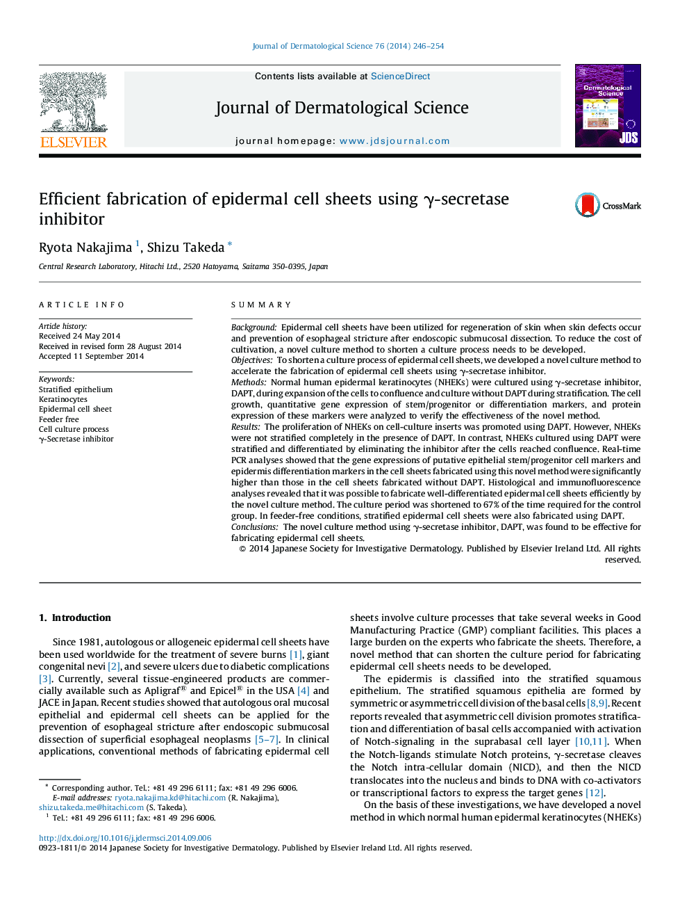 Efficient fabrication of epidermal cell sheets using γ-secretase inhibitor