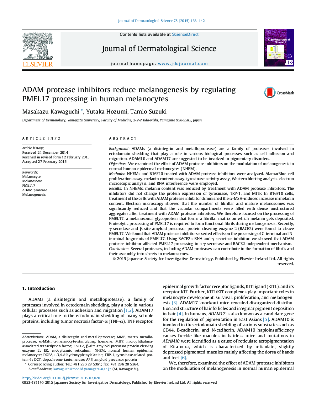 ADAM protease inhibitors reduce melanogenesis by regulating PMEL17 processing in human melanocytes