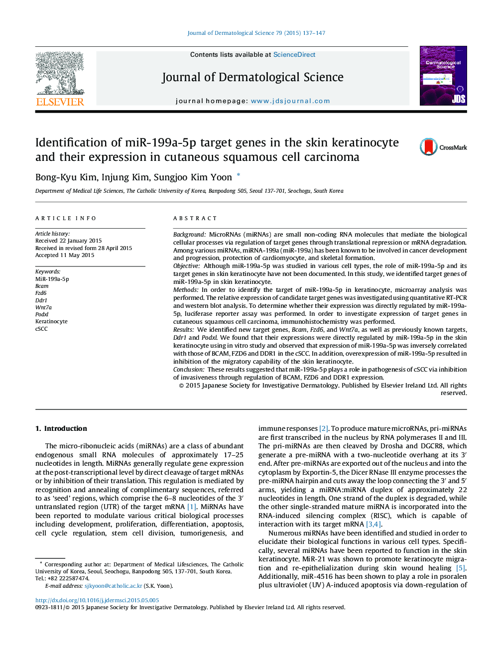 Identification of miR-199a-5p target genes in the skin keratinocyte and their expression in cutaneous squamous cell carcinoma