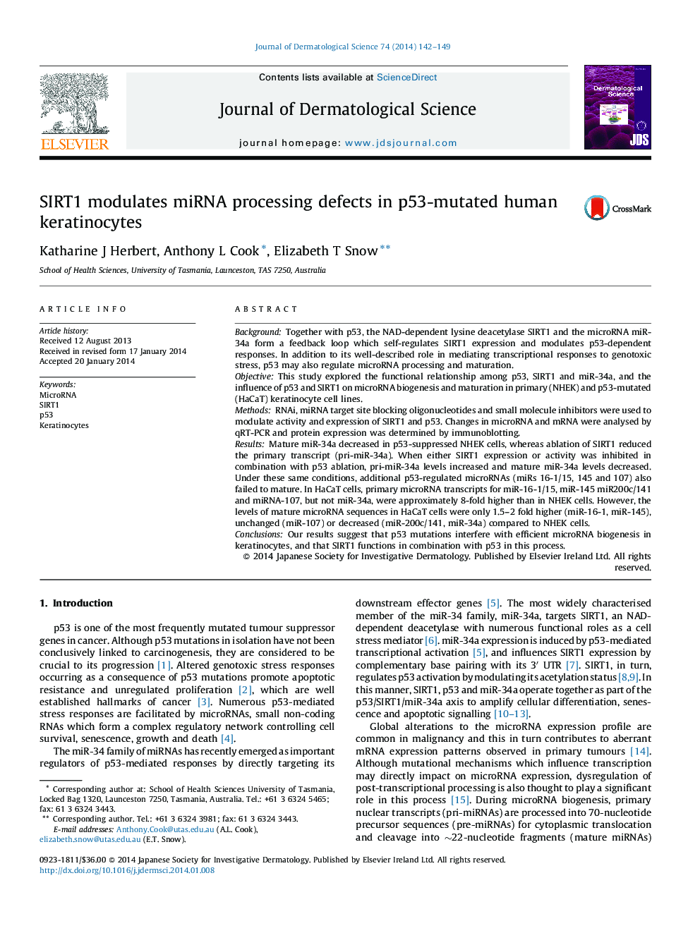 SIRT1 modulates miRNA processing defects in p53-mutated human keratinocytes