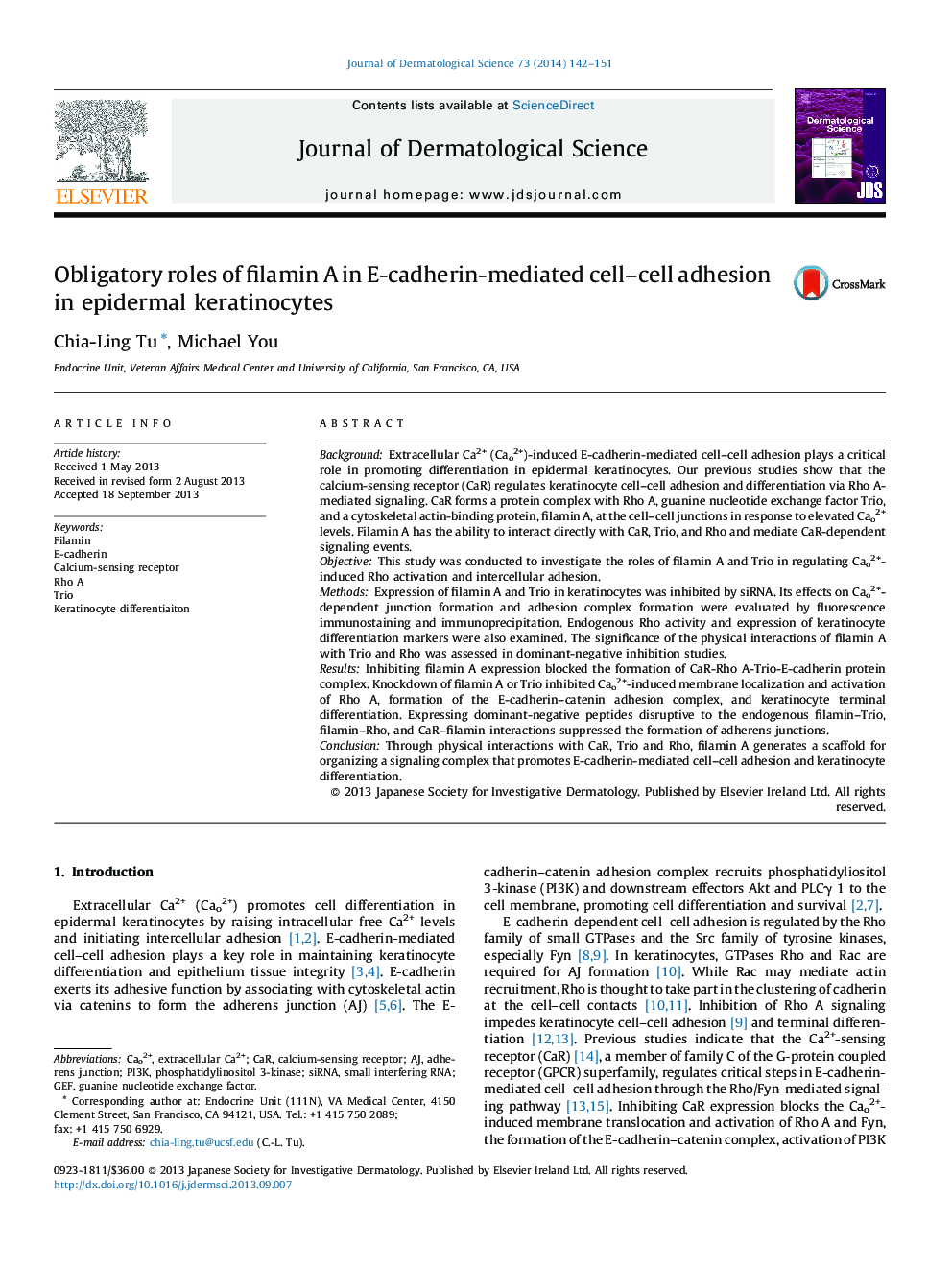 Obligatory roles of filamin A in E-cadherin-mediated cell–cell adhesion in epidermal keratinocytes