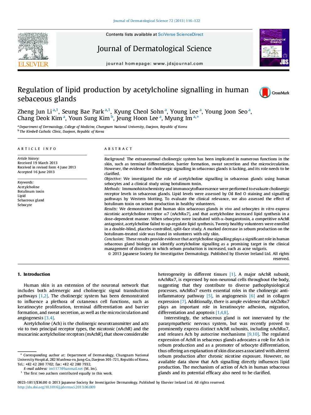 Regulation of lipid production by acetylcholine signalling in human sebaceous glands