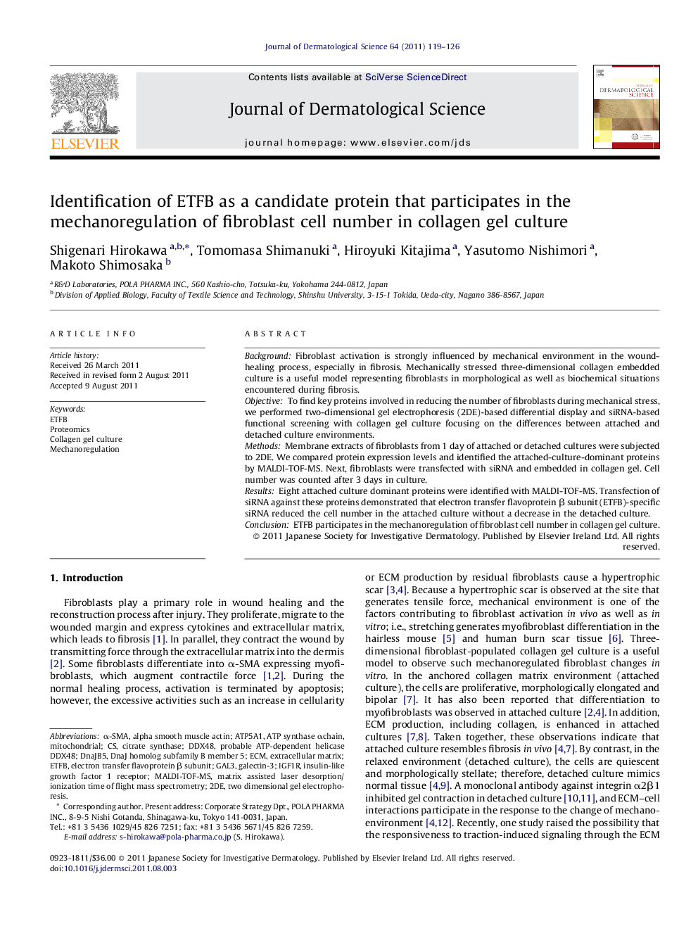 Identification of ETFB as a candidate protein that participates in the mechanoregulation of fibroblast cell number in collagen gel culture