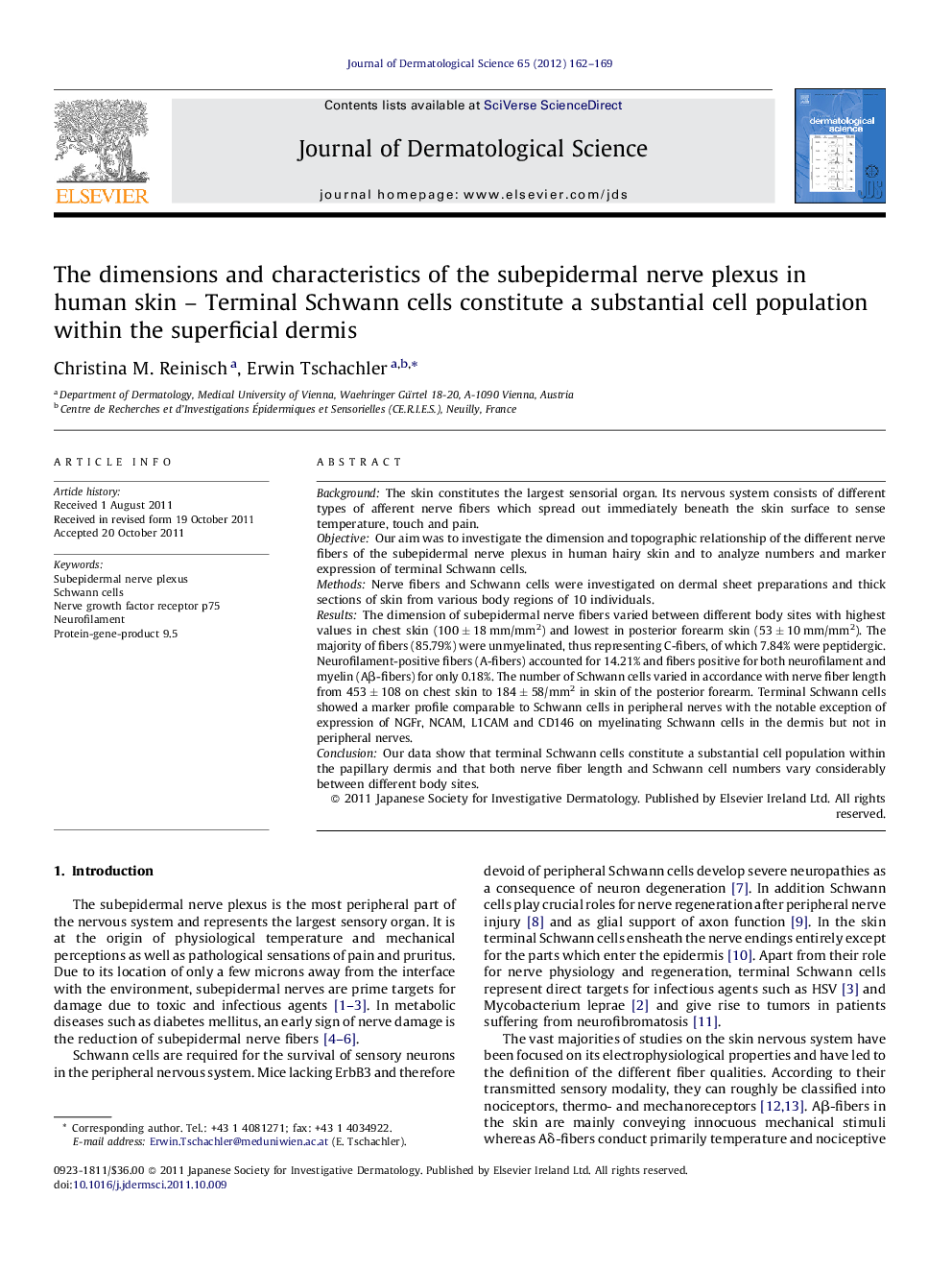 The dimensions and characteristics of the subepidermal nerve plexus in human skin – Terminal Schwann cells constitute a substantial cell population within the superficial dermis