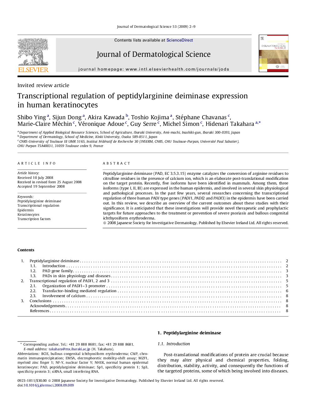 Transcriptional regulation of peptidylarginine deiminase expression in human keratinocytes