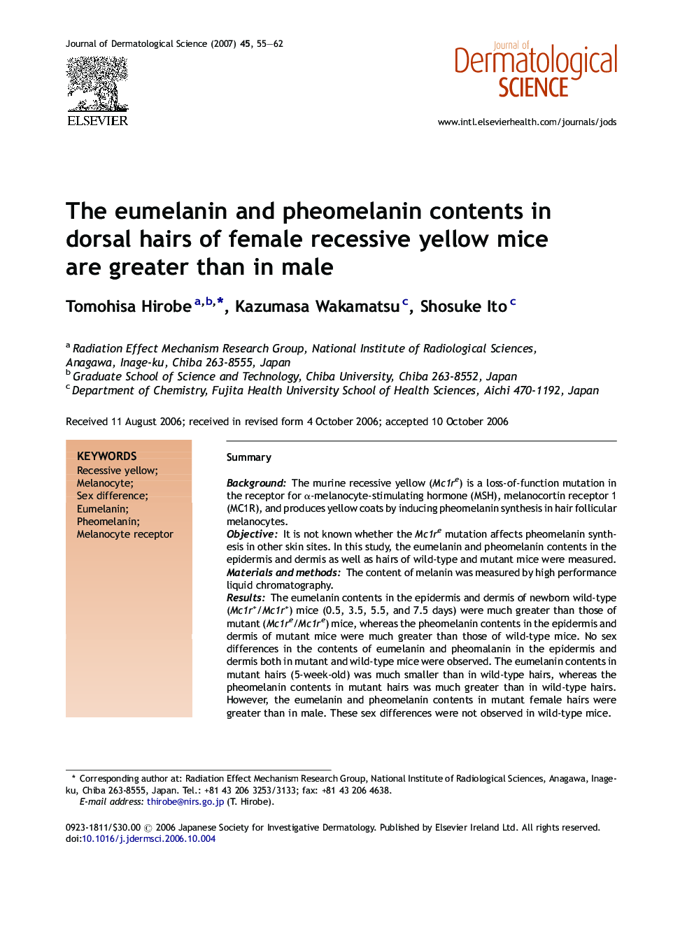 The eumelanin and pheomelanin contents in dorsal hairs of female recessive yellow mice are greater than in male