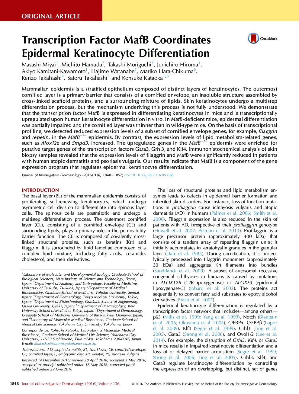 Transcription Factor MafB Coordinates Epidermal Keratinocyte Differentiation