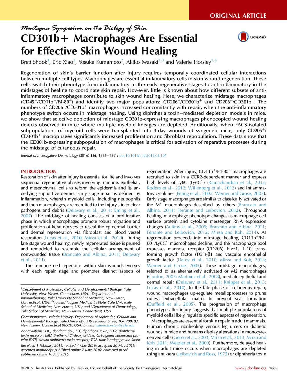 CD301b+ Macrophages Are Essential for Effective Skin Wound Healing