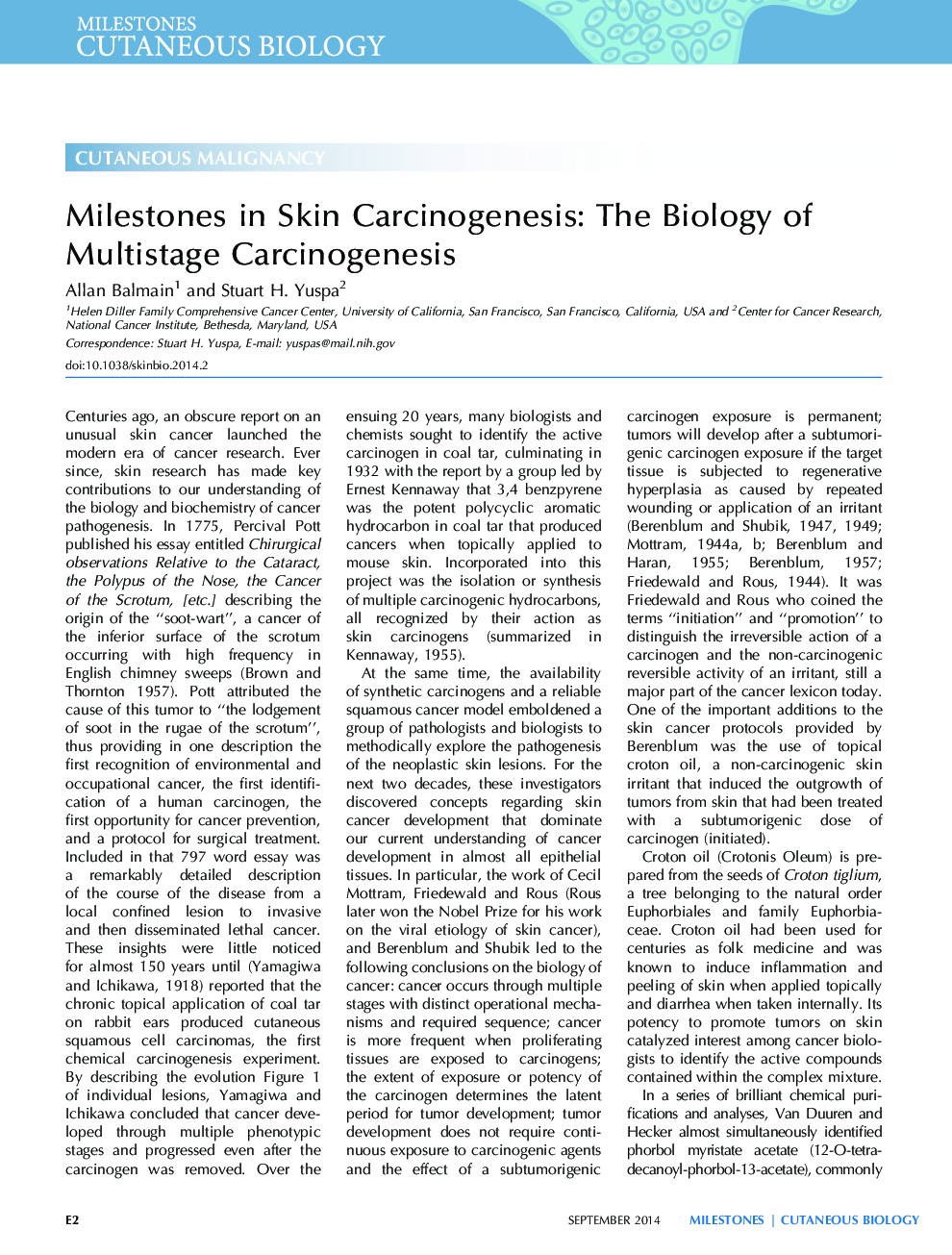 Milestones in Skin Carcinogenesis: The Biology of Multistage Carcinogenesis
