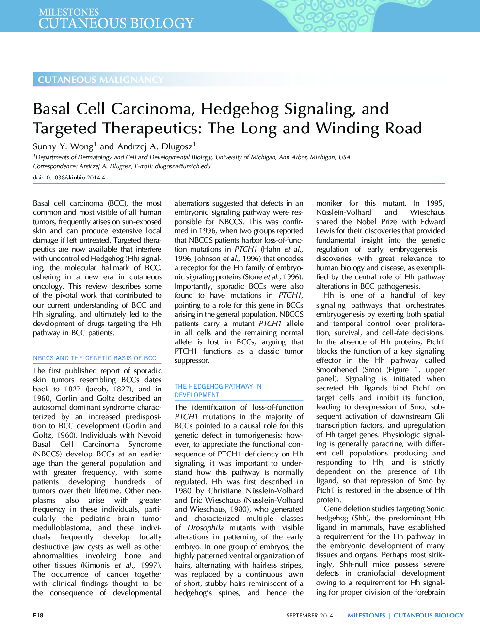 کارسینوم سلول پایه، سیگنالینگ خارپشت و درمان های هدفمند: جاده طولانی و پیچیده 