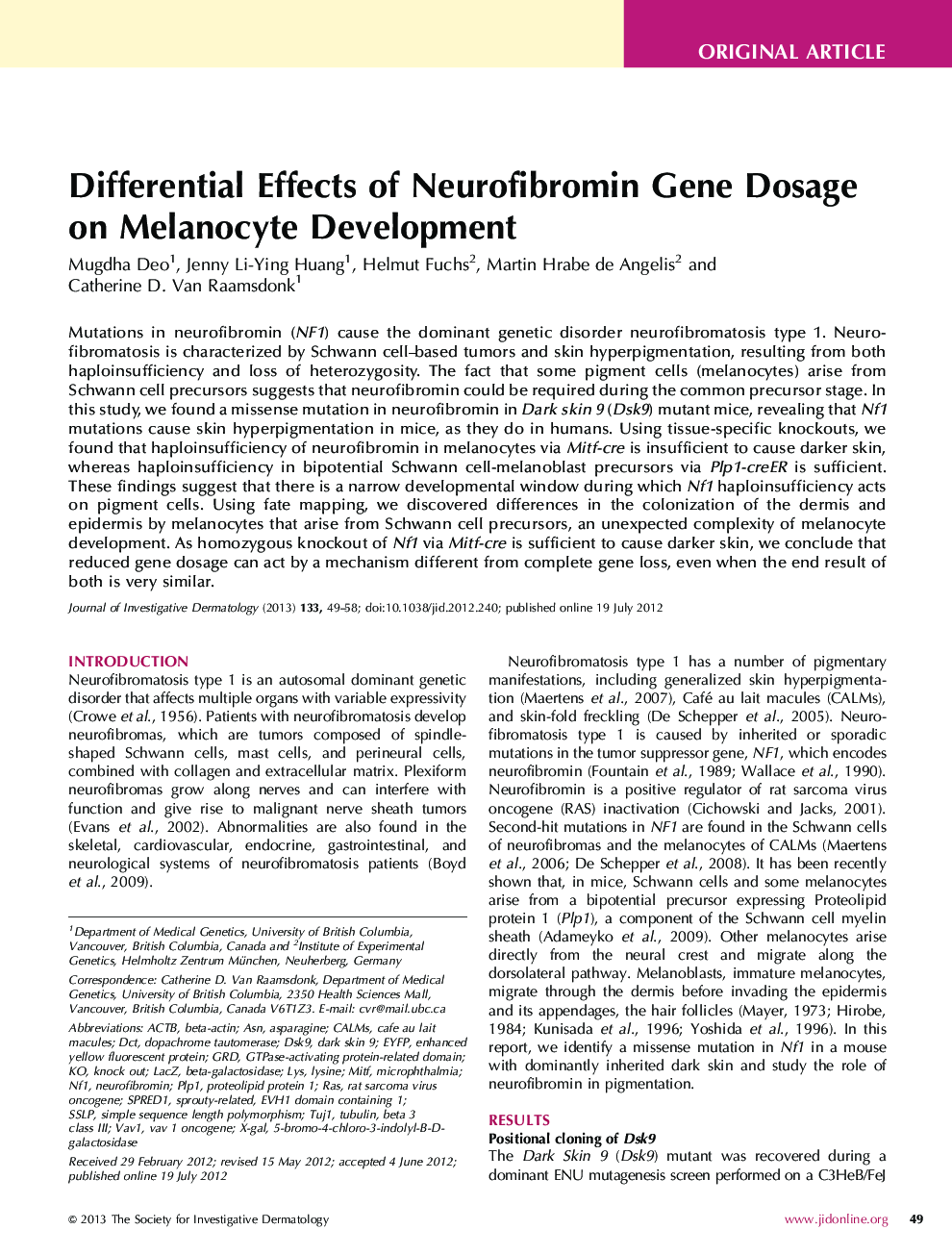Differential Effects of Neurofibromin Gene Dosage on Melanocyte Development 