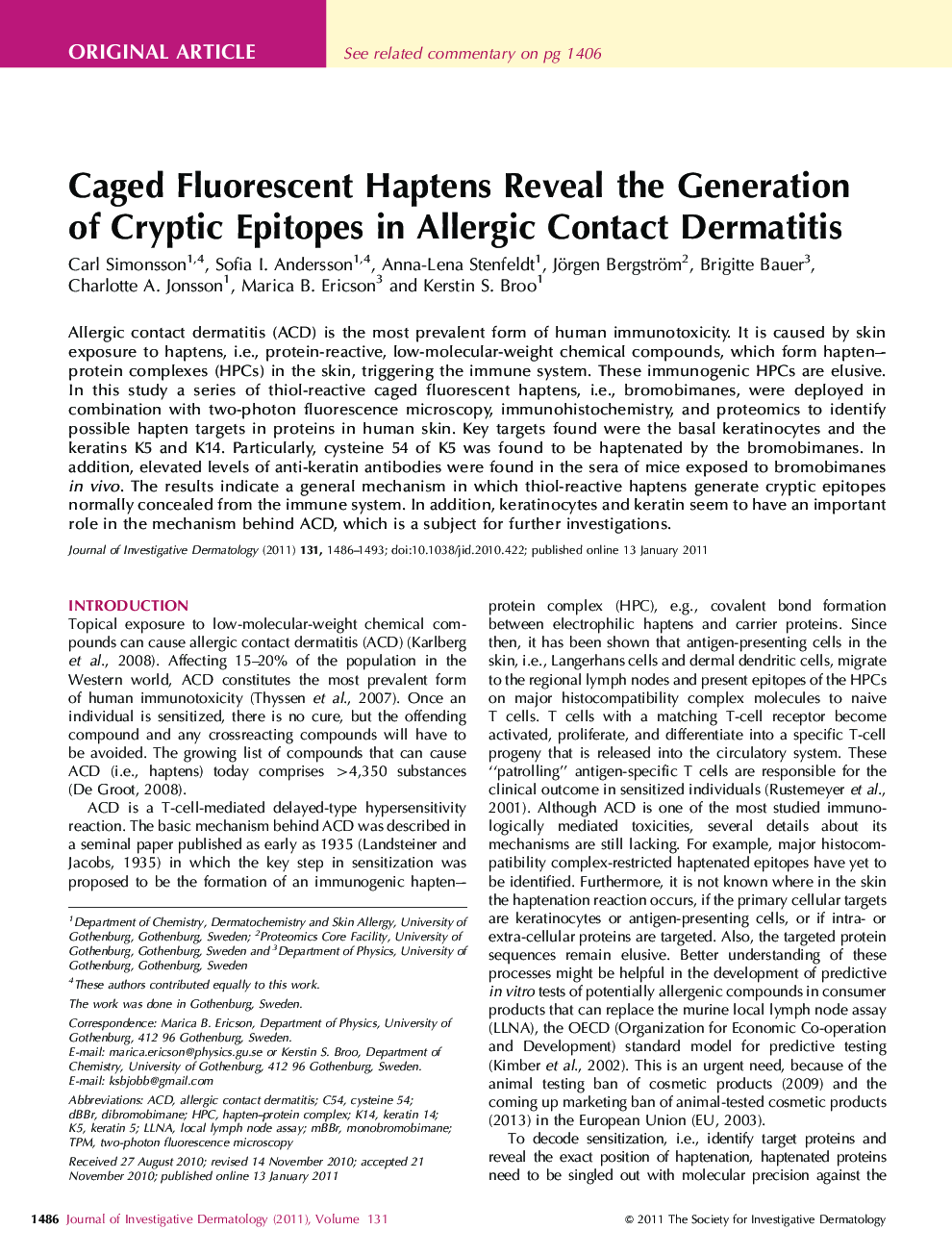 Caged Fluorescent Haptens Reveal the Generation of Cryptic Epitopes in Allergic Contact Dermatitis 